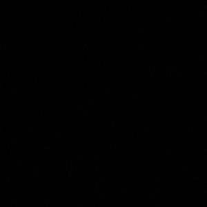 Meet your Posher, Shane